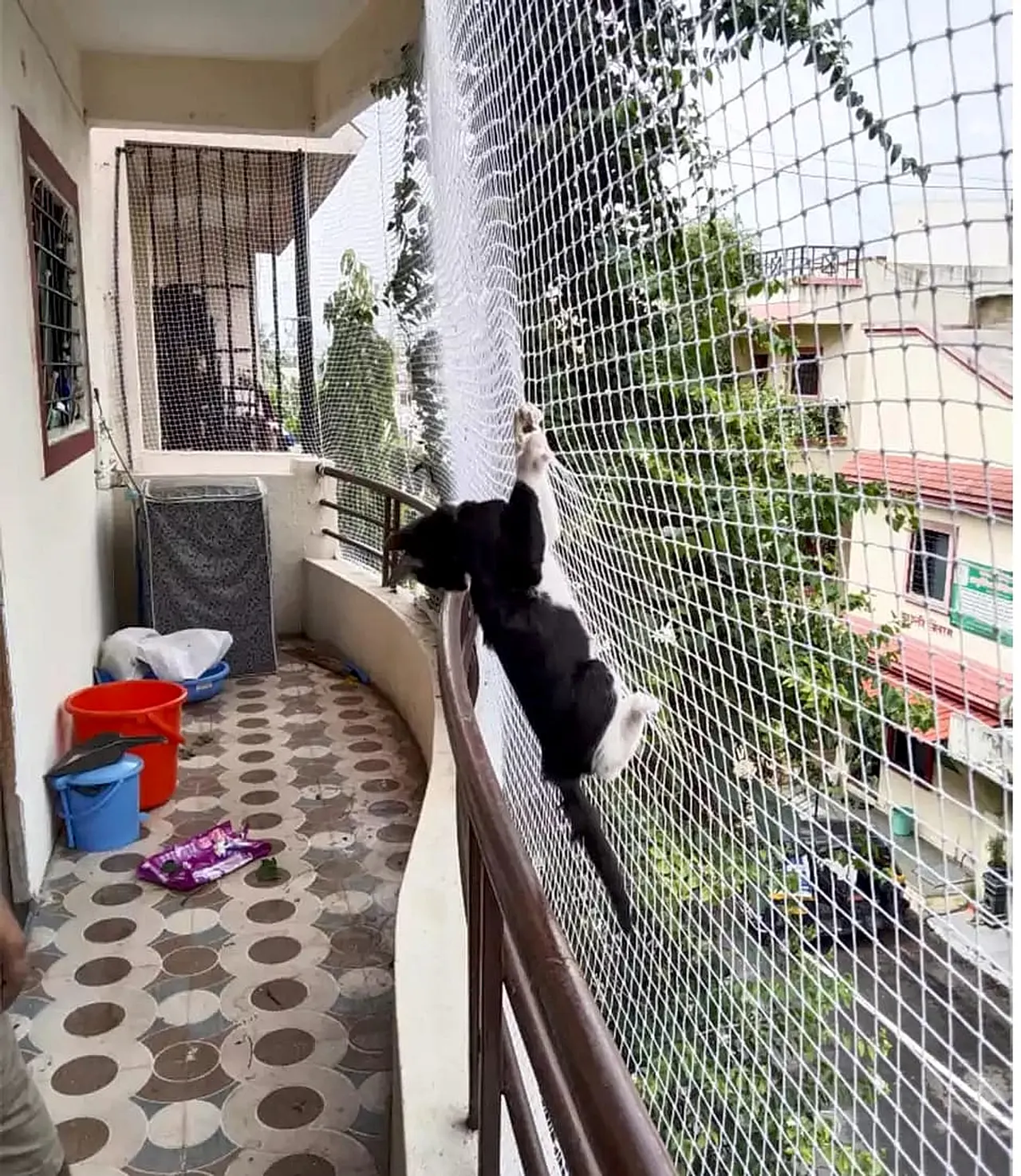 Invisible Grill for Balcony Durable for Pets in Njarackal, Kerala by Deva Safety Nets Invisible Grill for Balcony Durable for Pets in Njarackal, Kerala by Deva Safety Nets